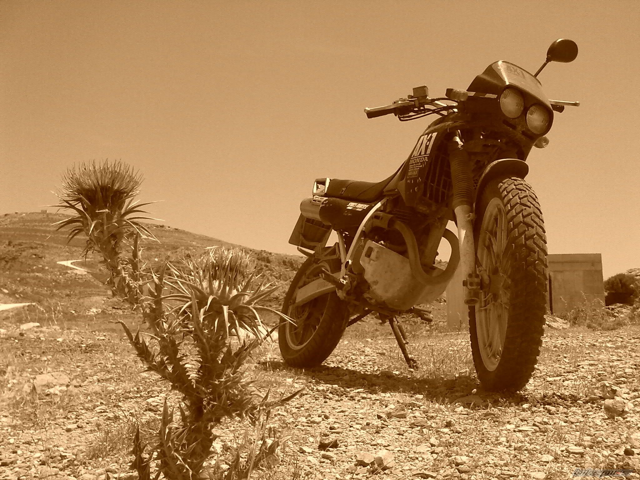 Photo 2027658