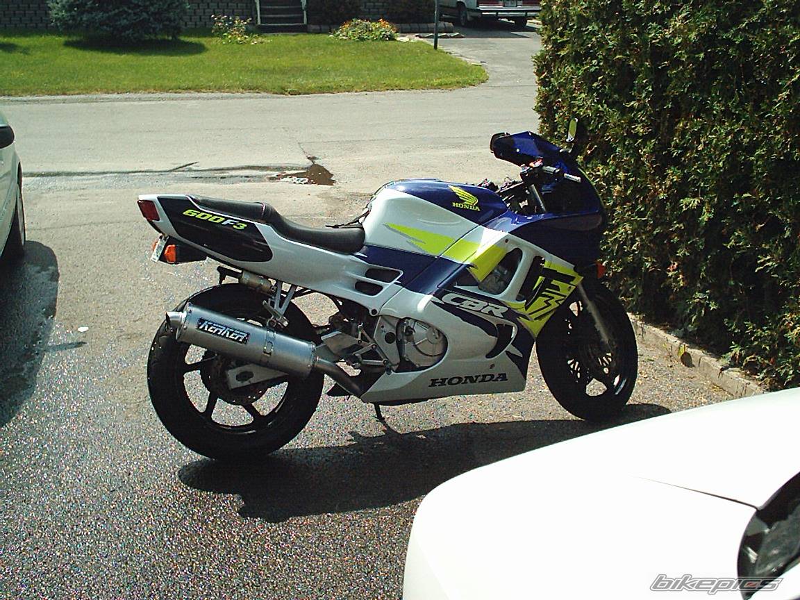 Photo 202767
