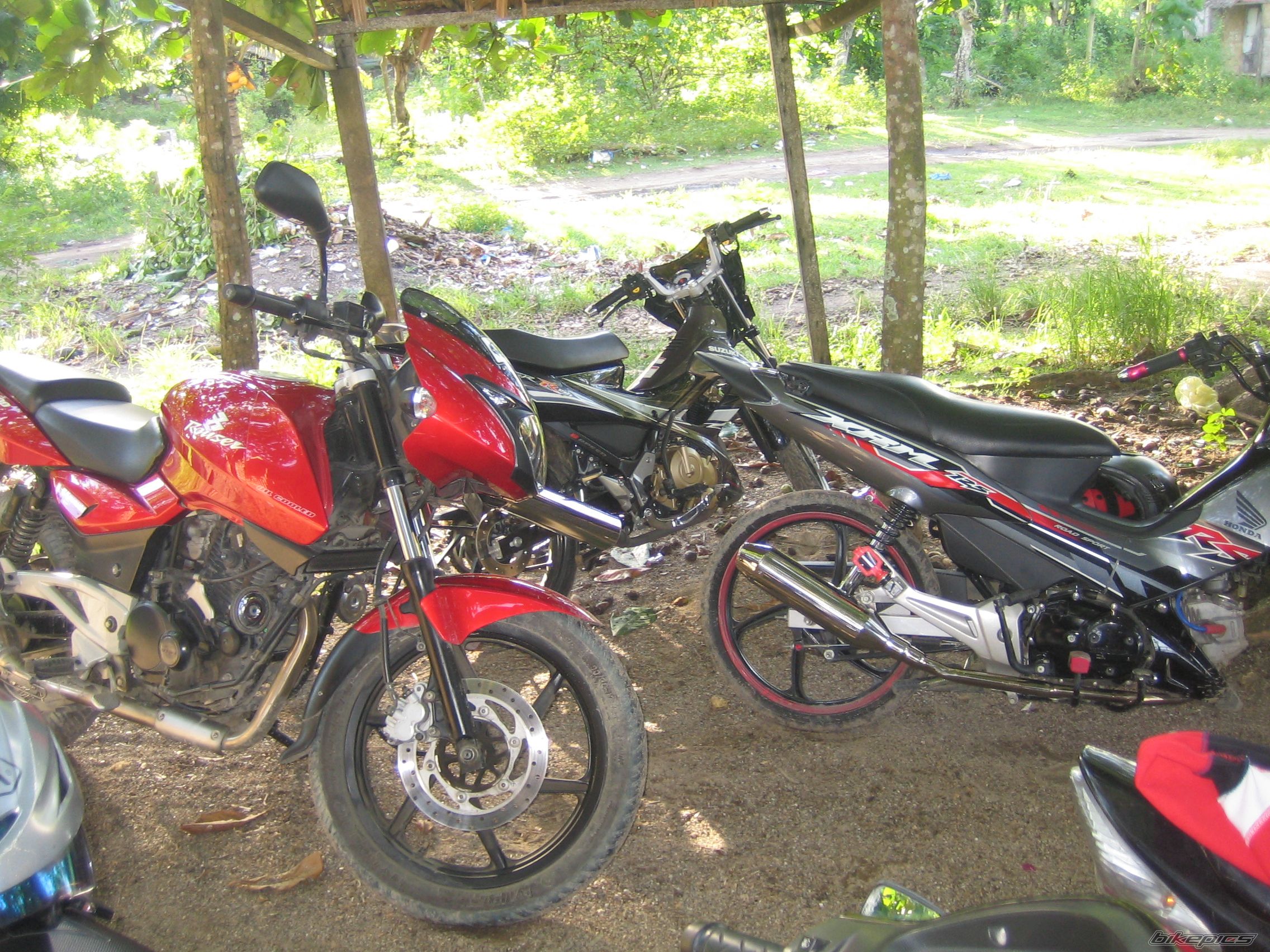 Photo 2028059