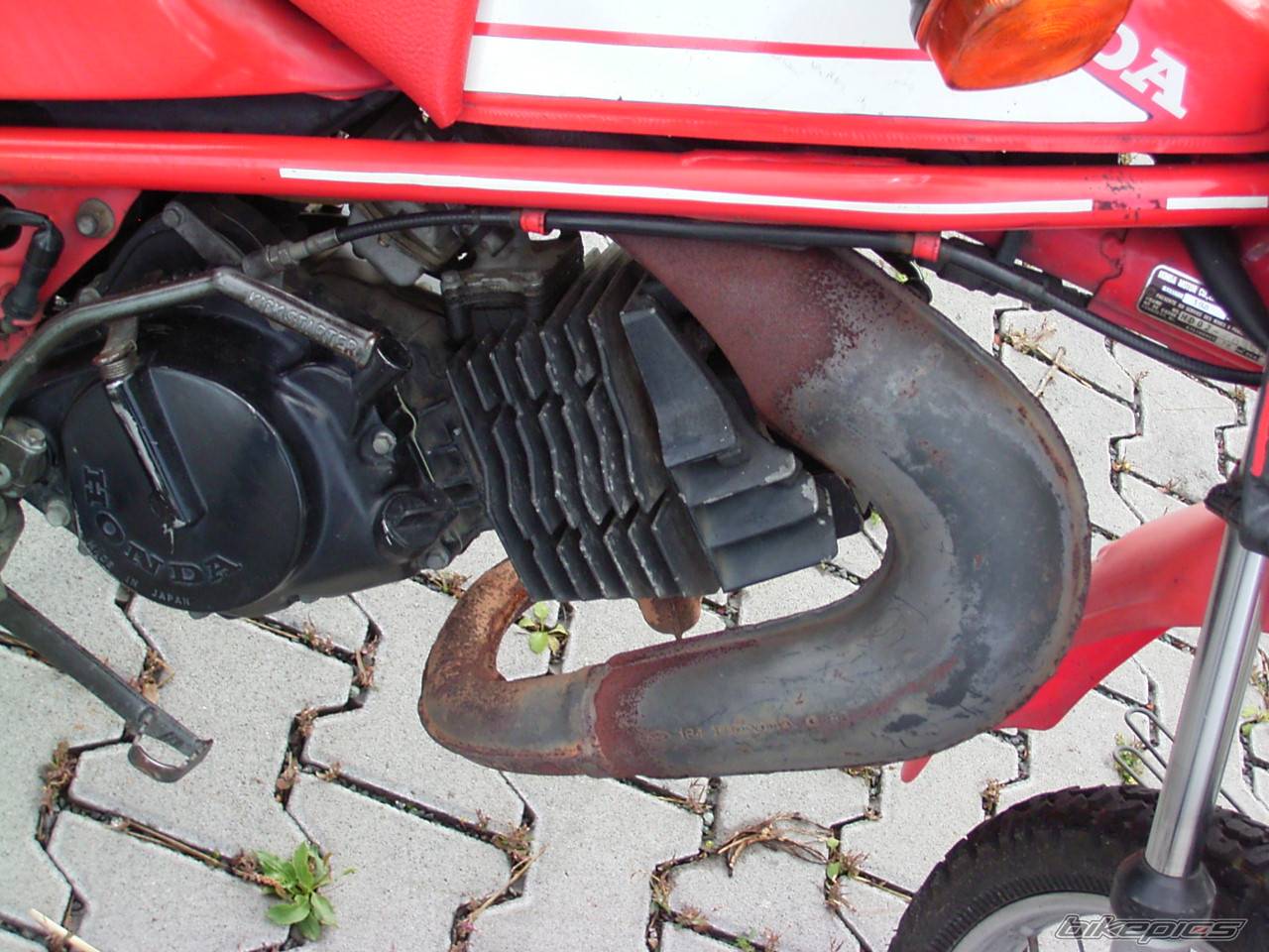 Photo 202820
