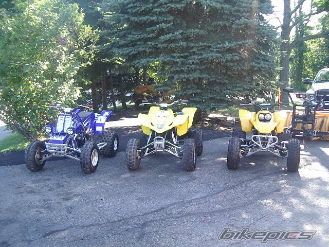 Photo 202824