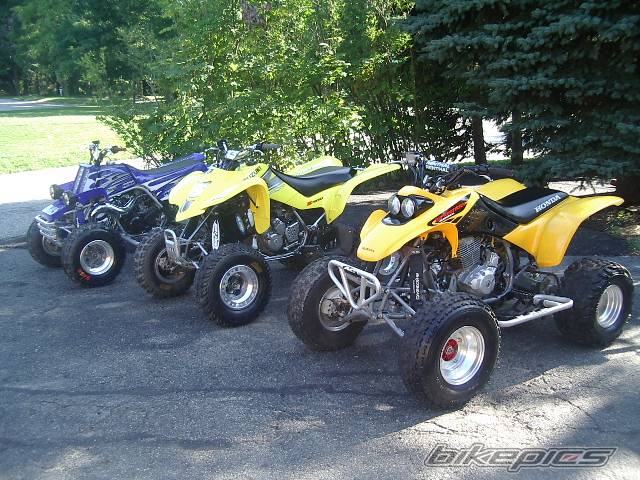 Photo 202825
