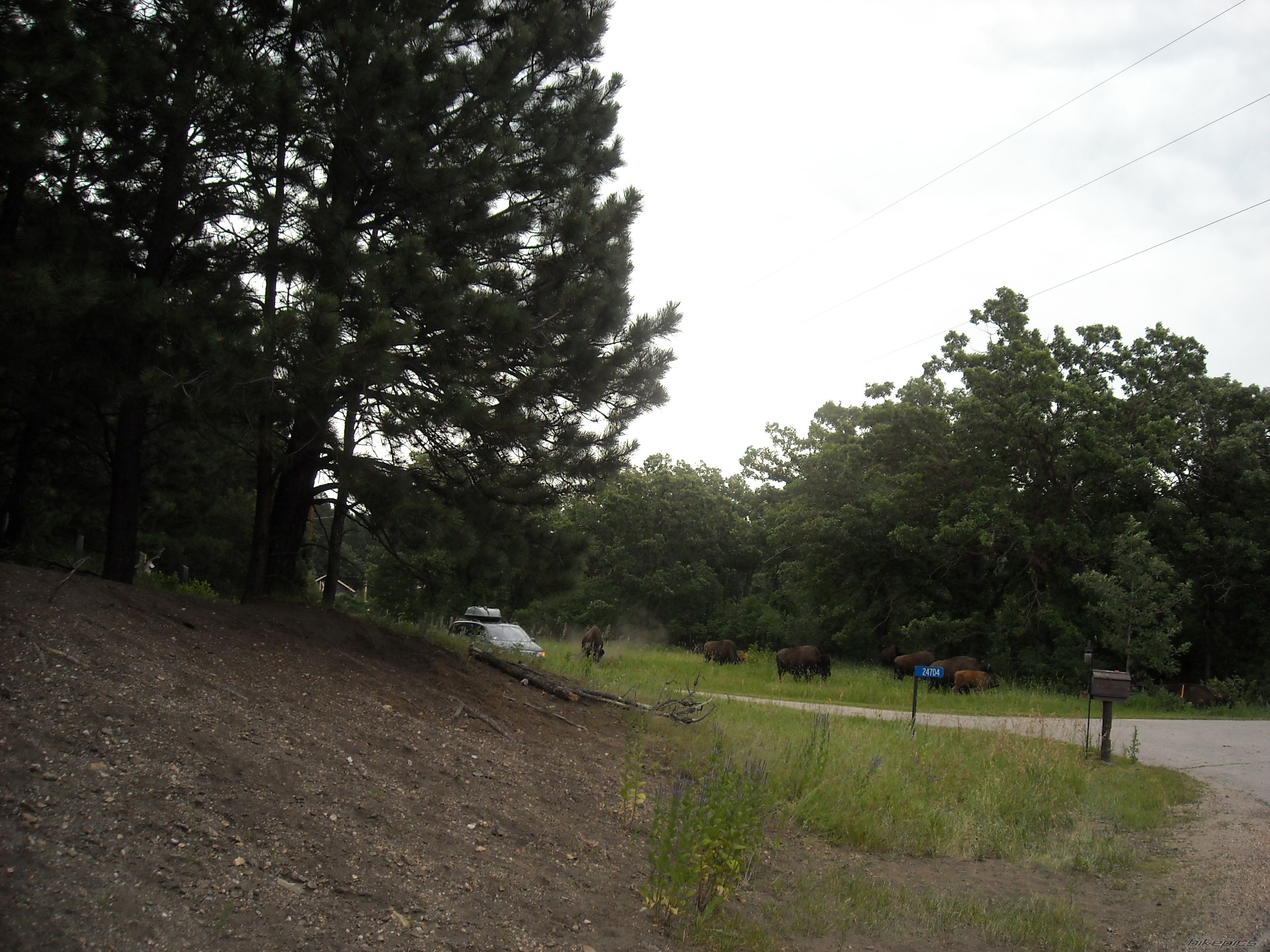 Photo 2028277