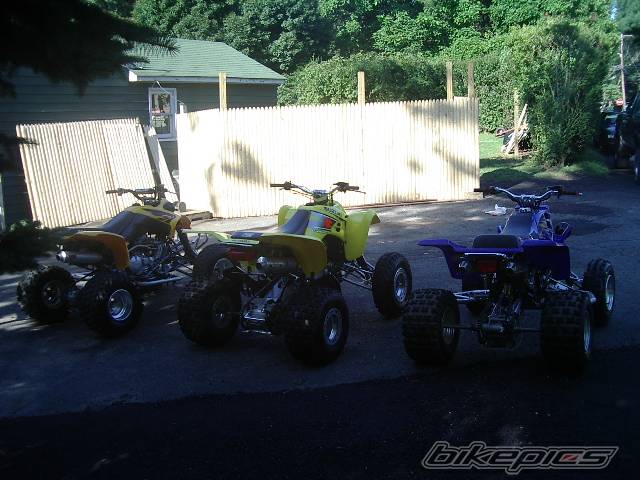 Photo 202828