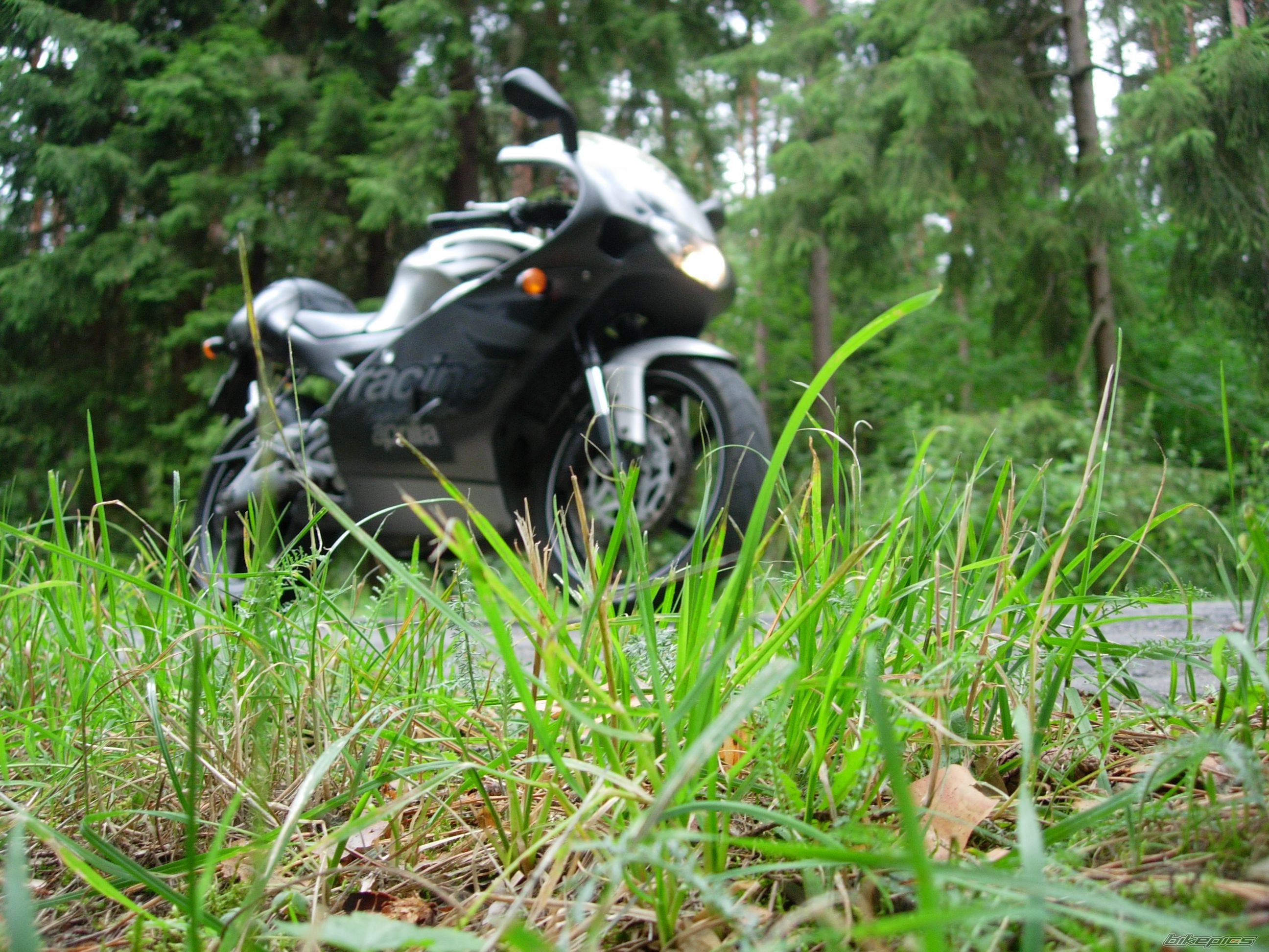 Photo 2028287