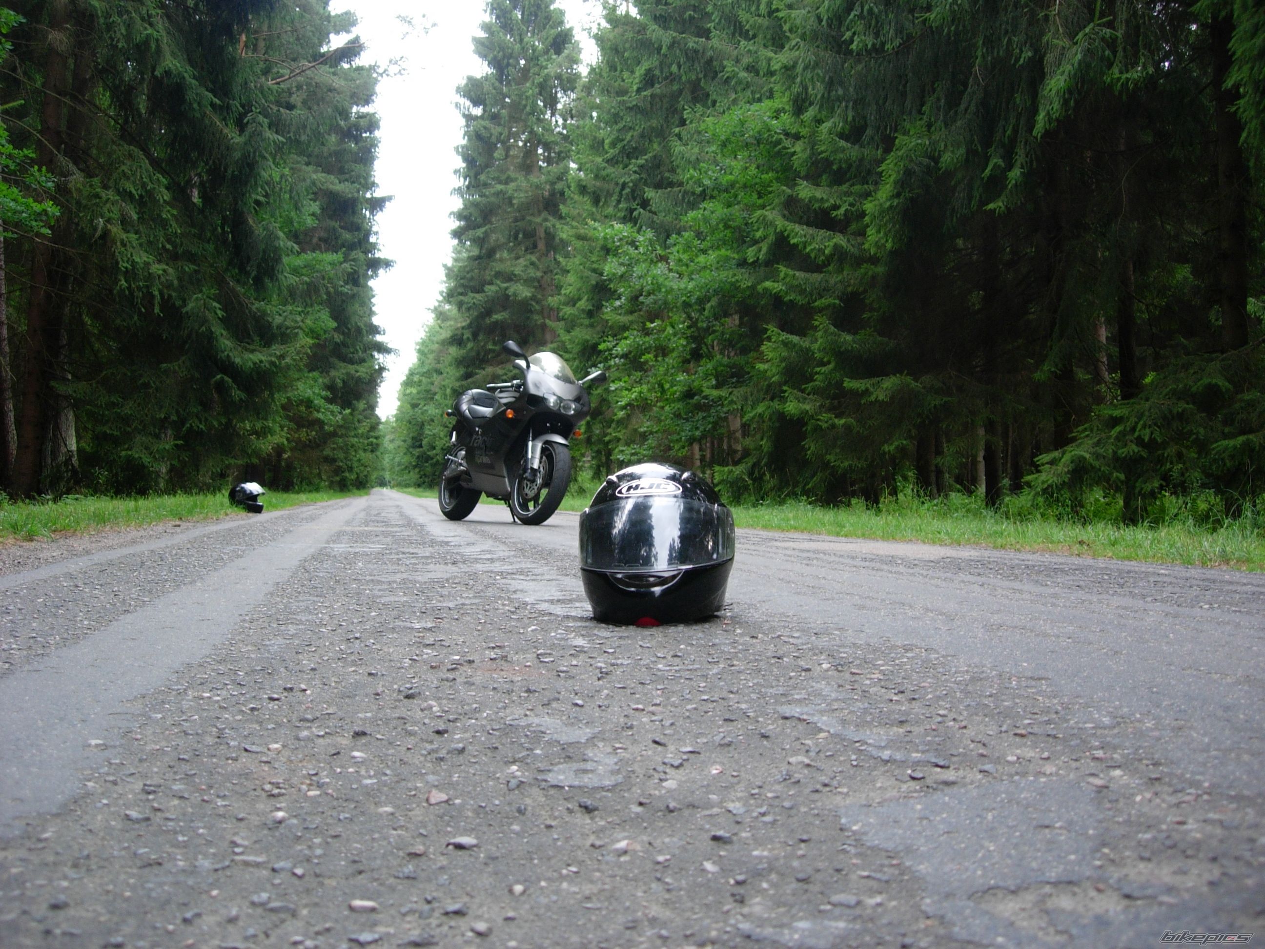 Photo 2028298