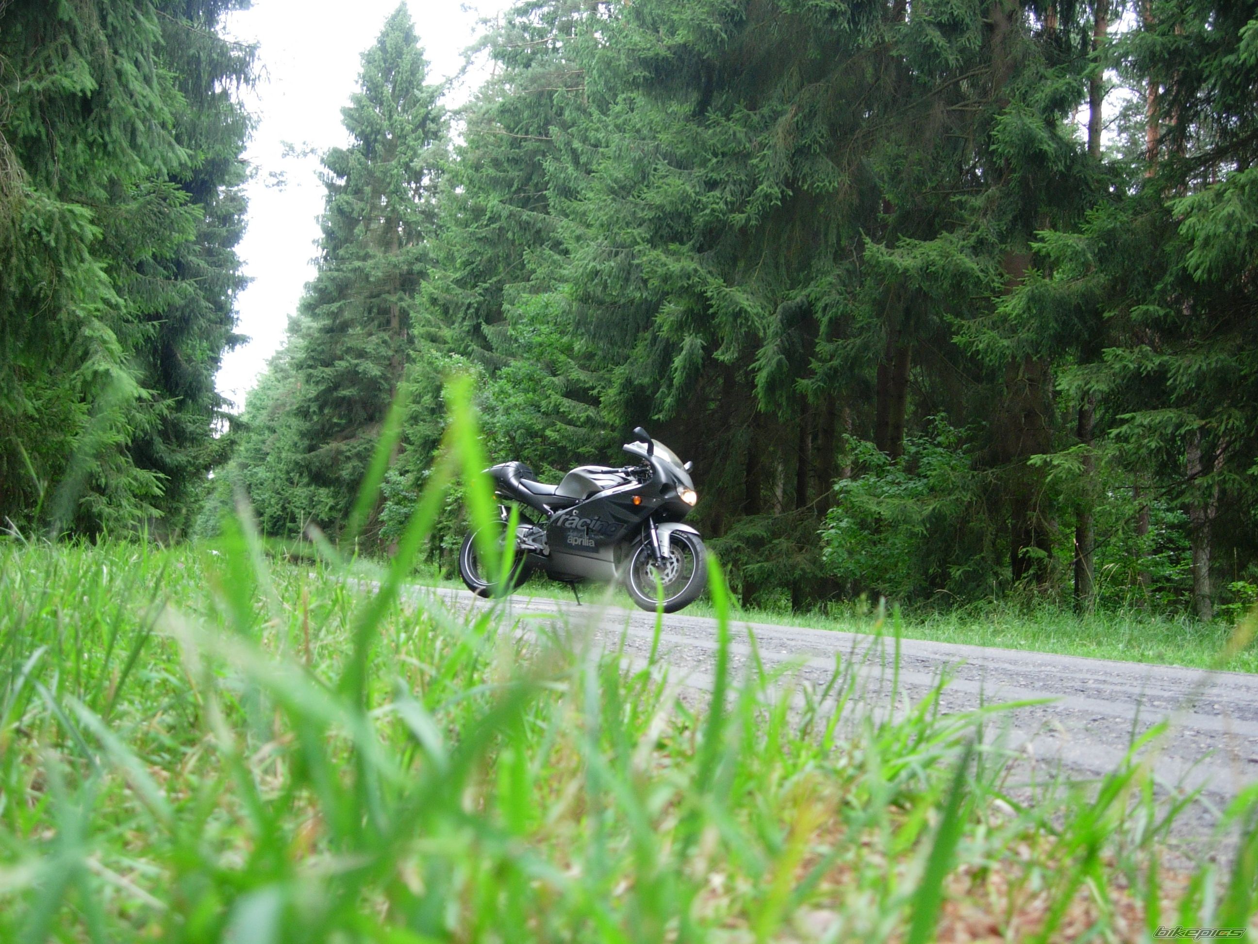 Photo 2028304