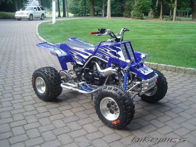 Photo 202833
