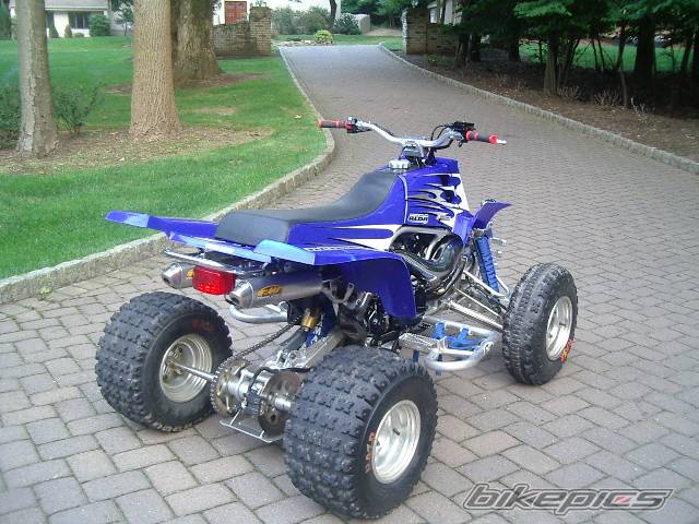Photo 202835
