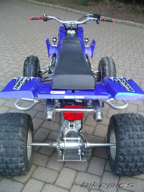 Photo 202837