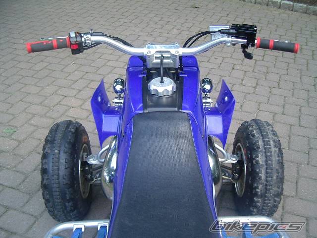Photo 202838