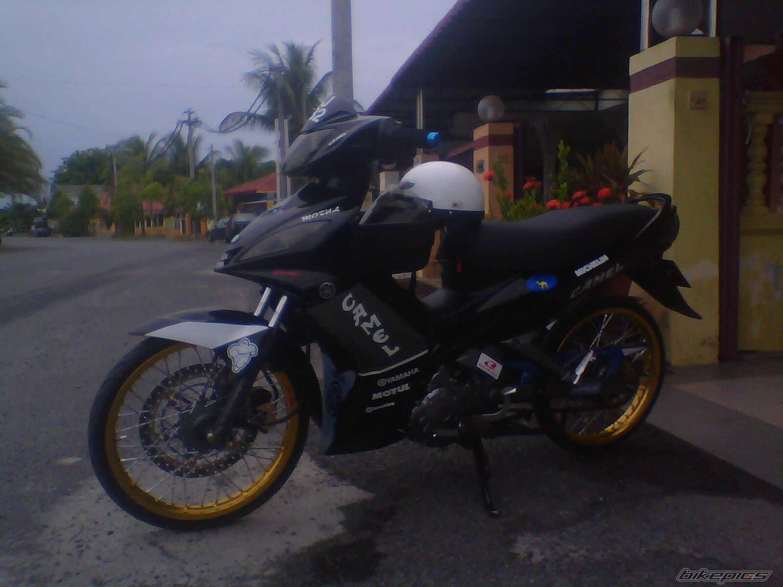Photo 2028412