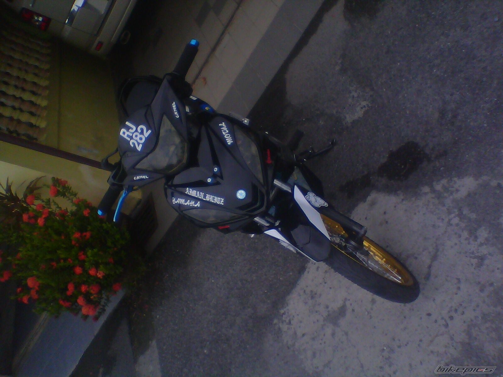 Photo 2028413