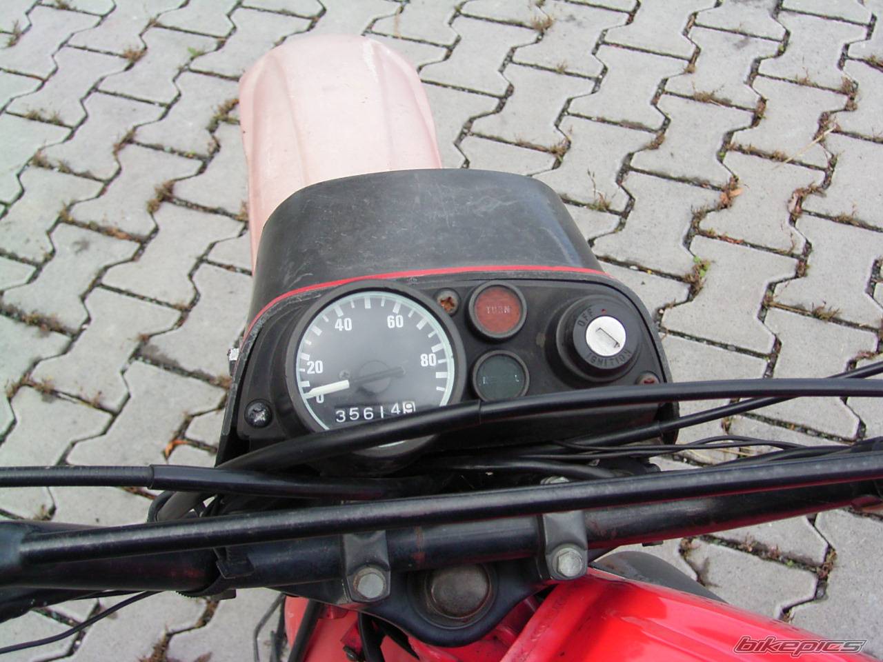 Photo 202844