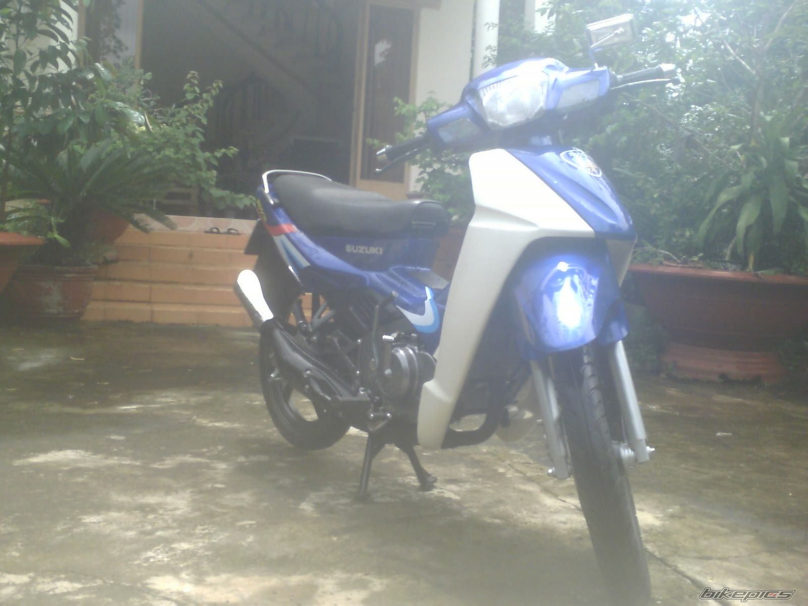 Photo 2028478