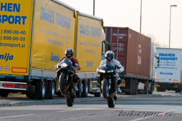 Photo 2028494