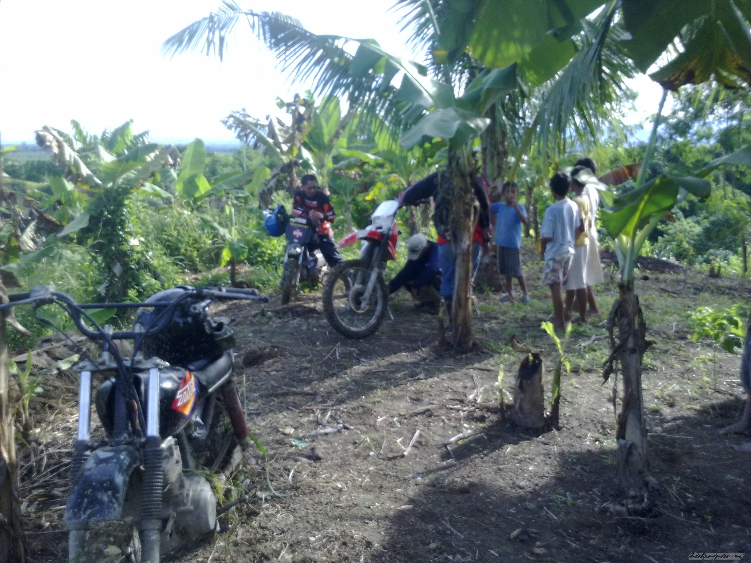 Bike Photo 2028505