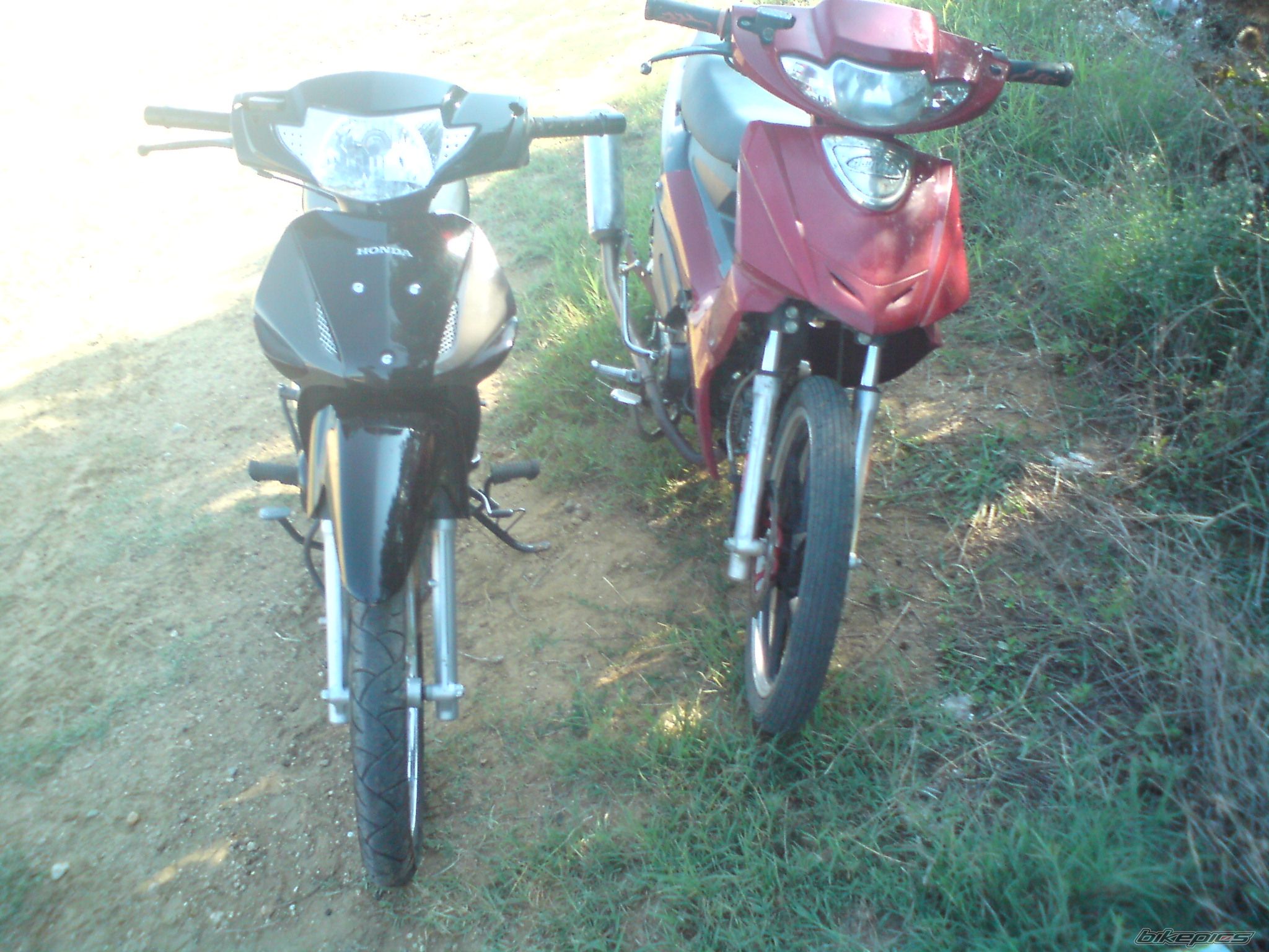 Photo 2028562