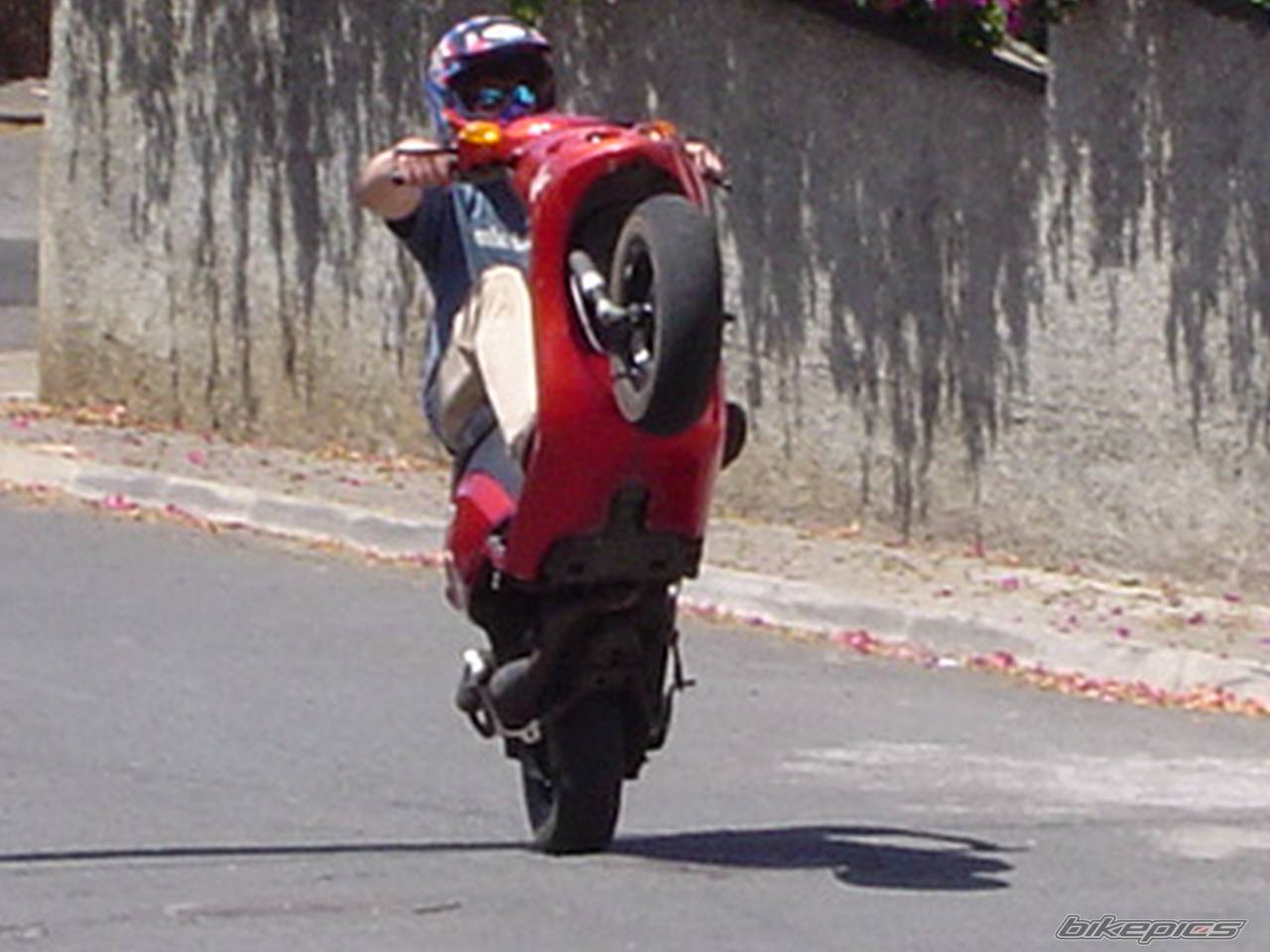 Photo 202868