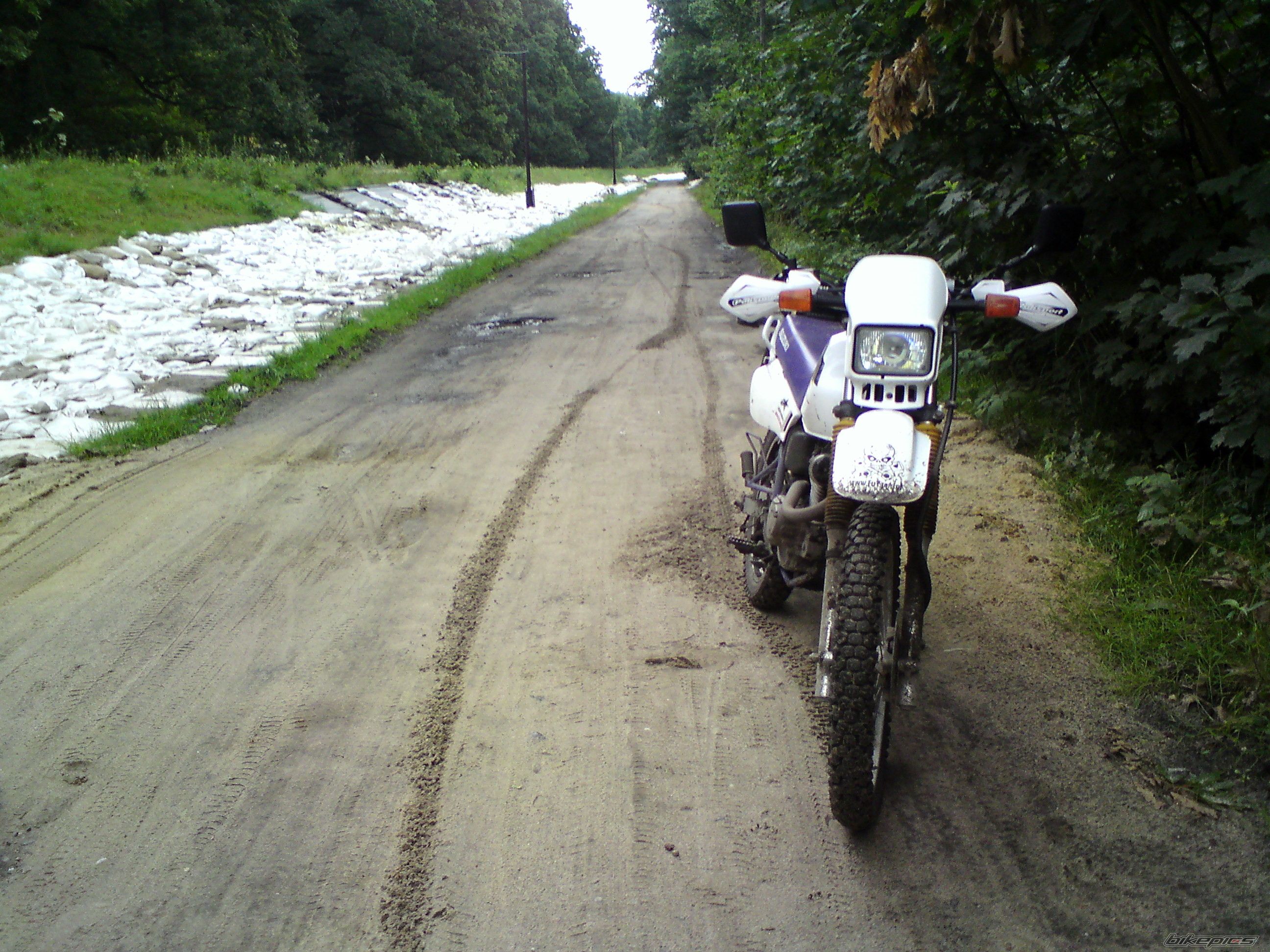 Photo 2028845
