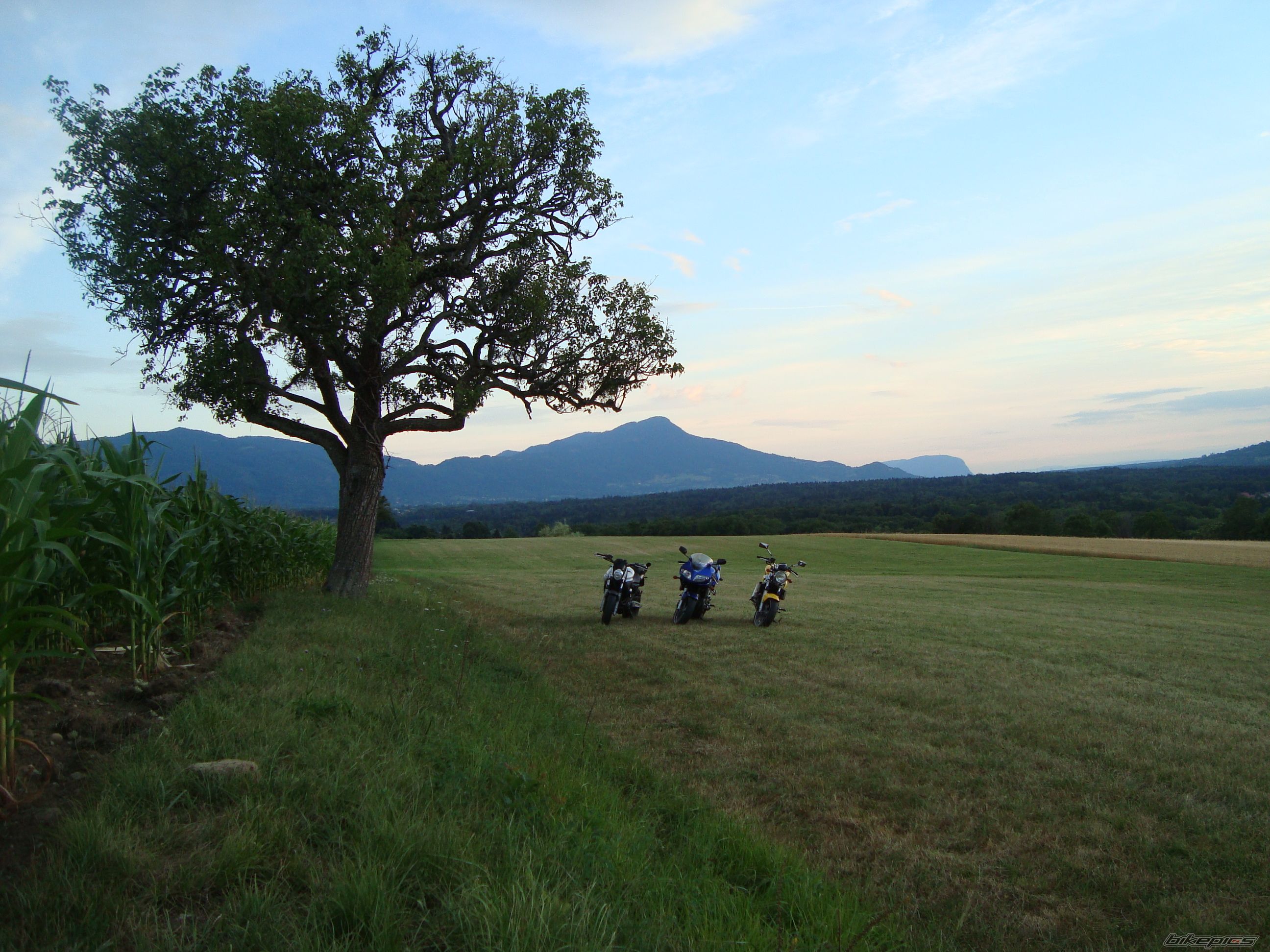 Photo 2029245