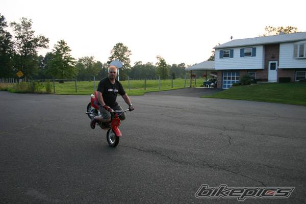 Photo 202933
