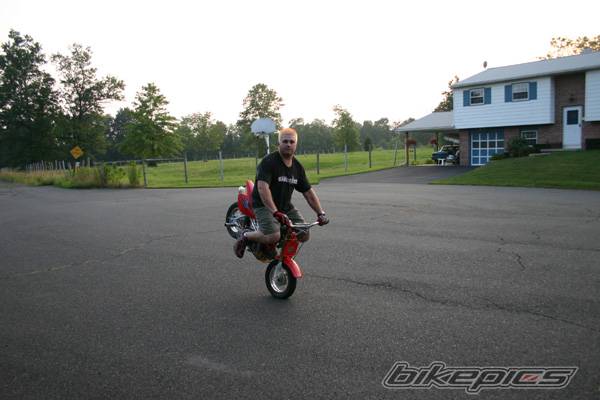 Photo 202934