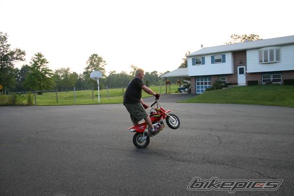 Photo 202935