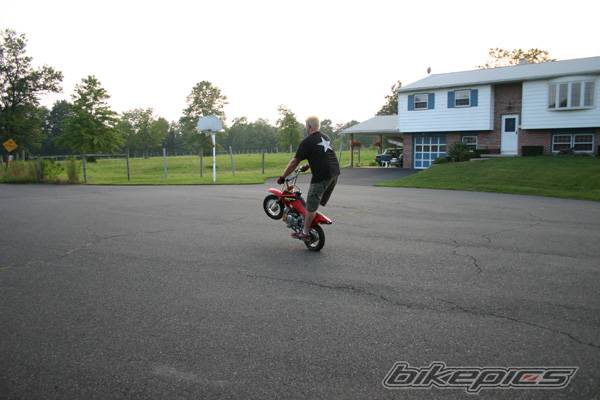 Photo 202937