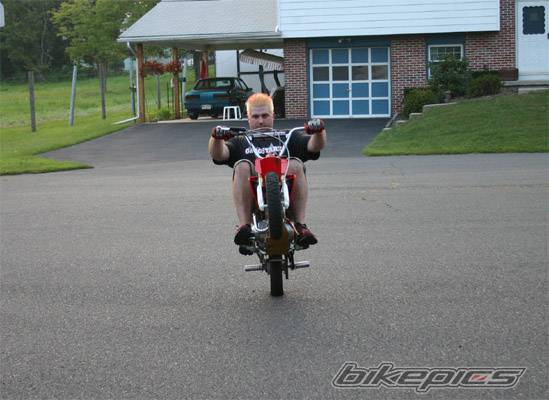 Photo 202942