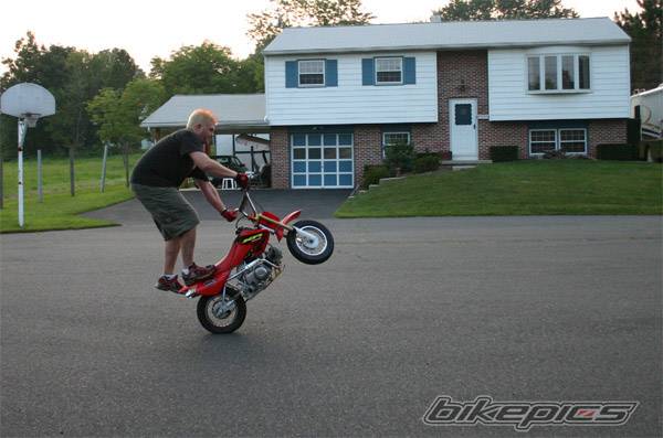 Photo 202943
