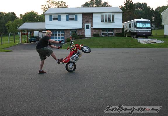 Photo 202944