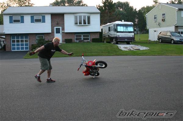 Photo 202946