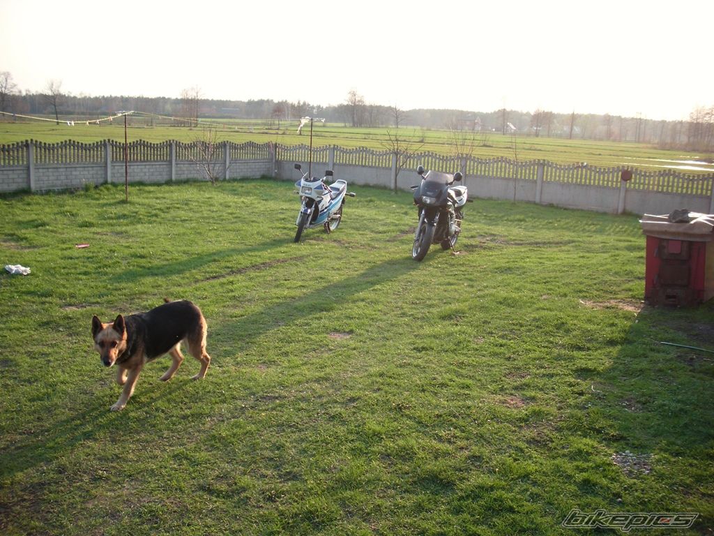 Photo 2029480