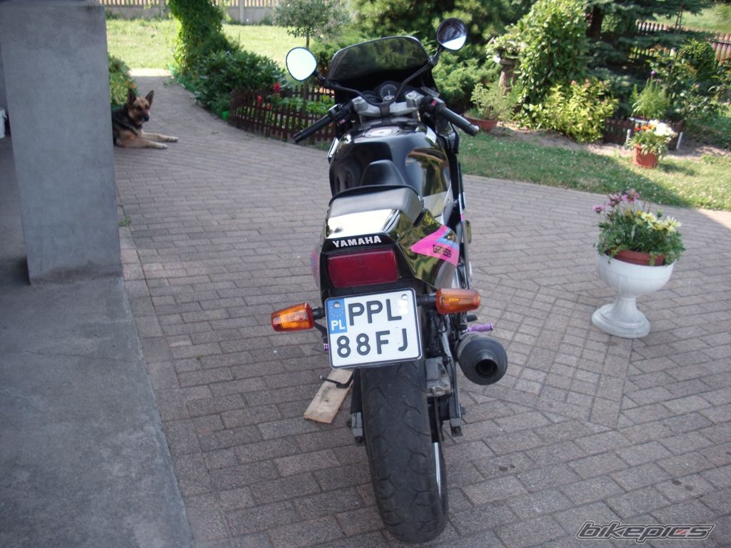 Photo 2029520