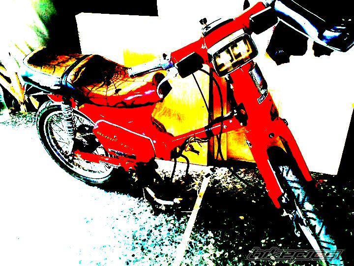 Photo 2029524