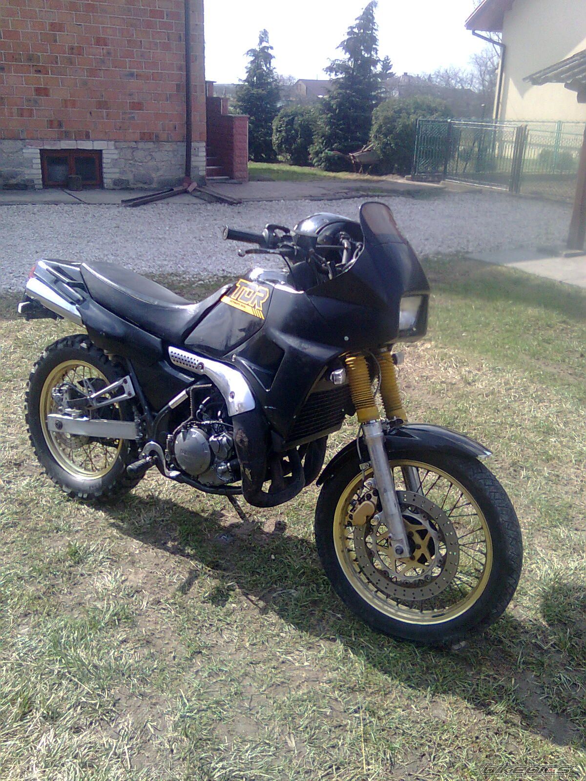 Photo 2029572