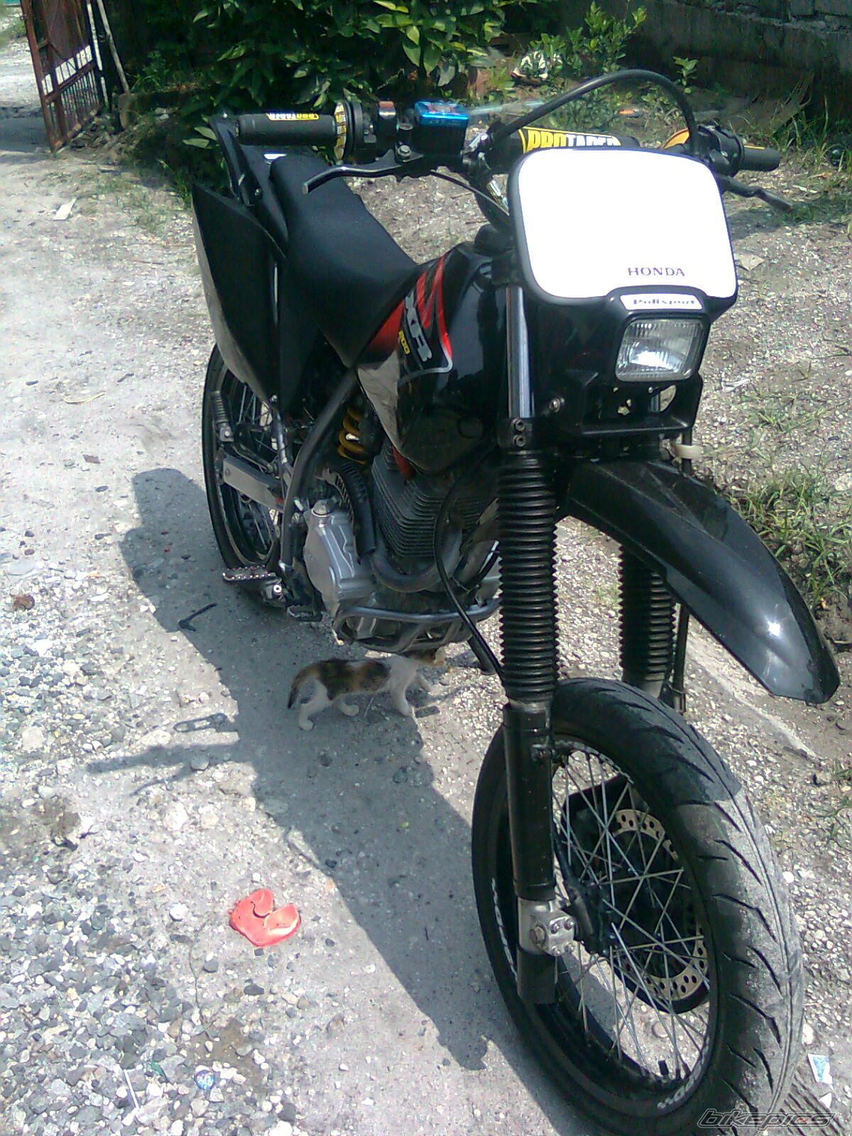Photo 2029663