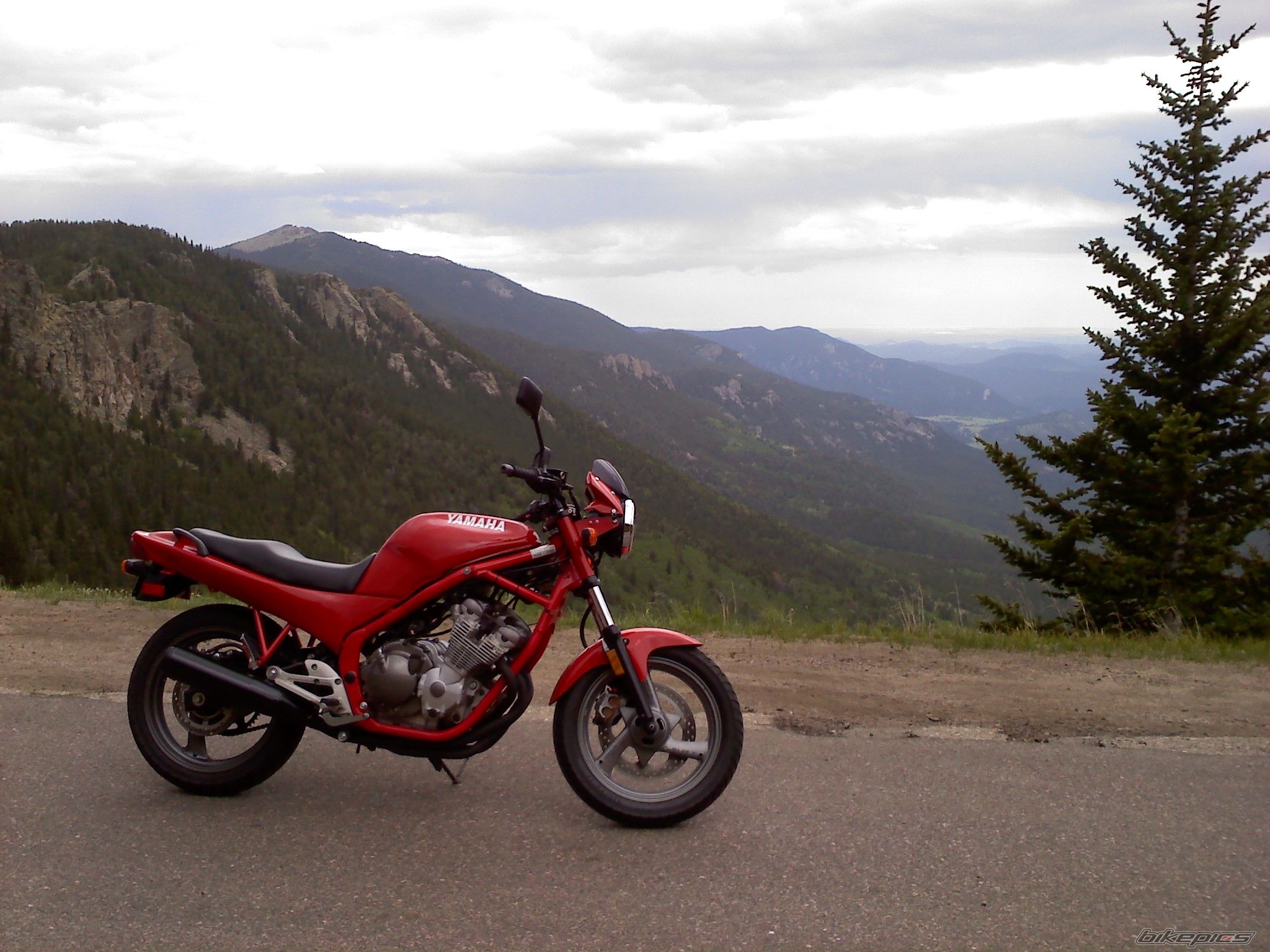 Bike Photo 2029682