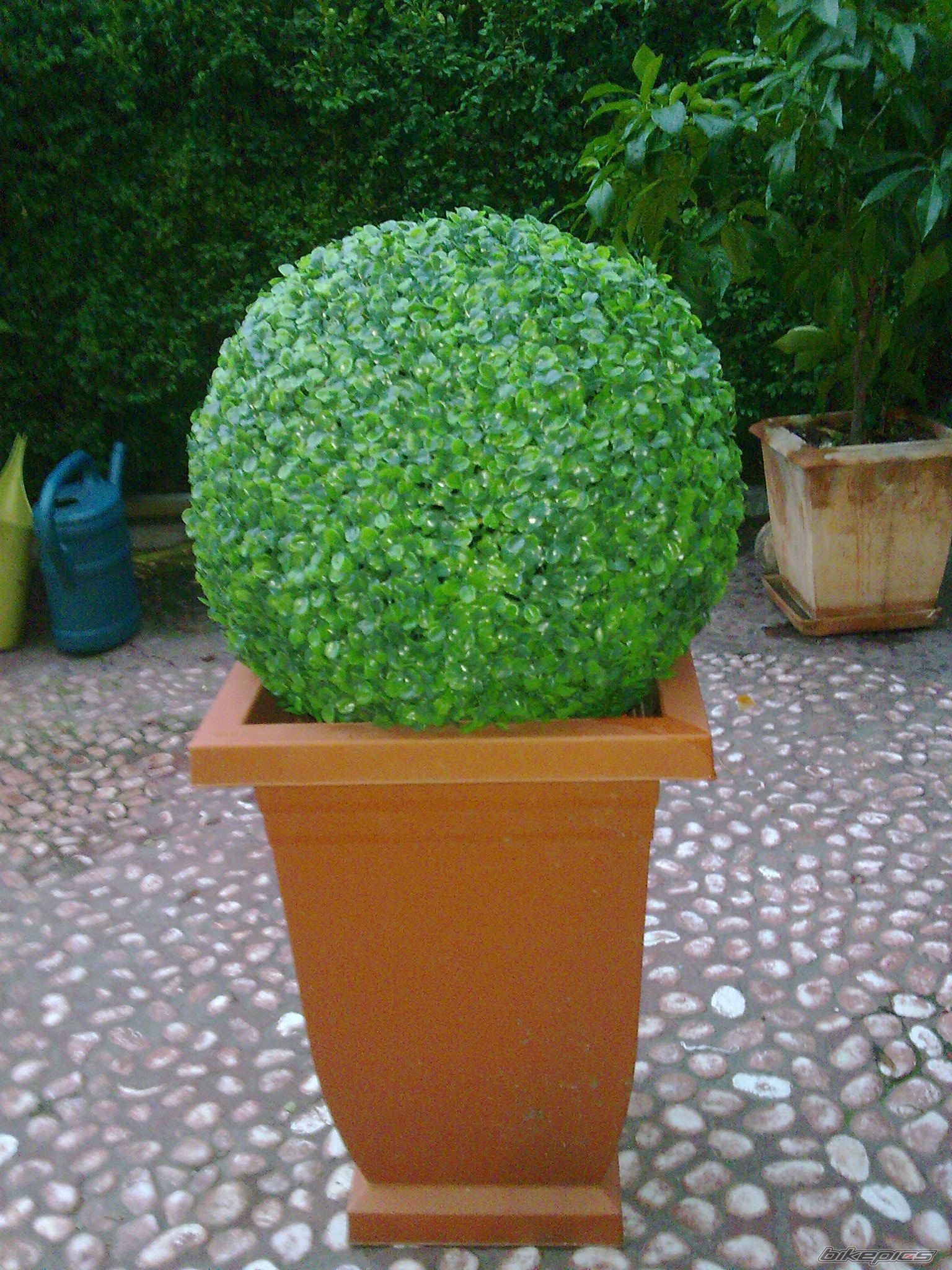 Photo 2029931