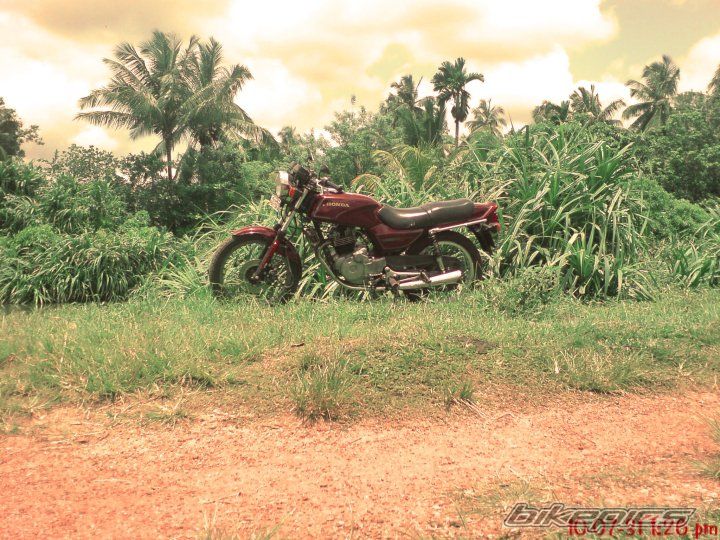 Photo 2029964
