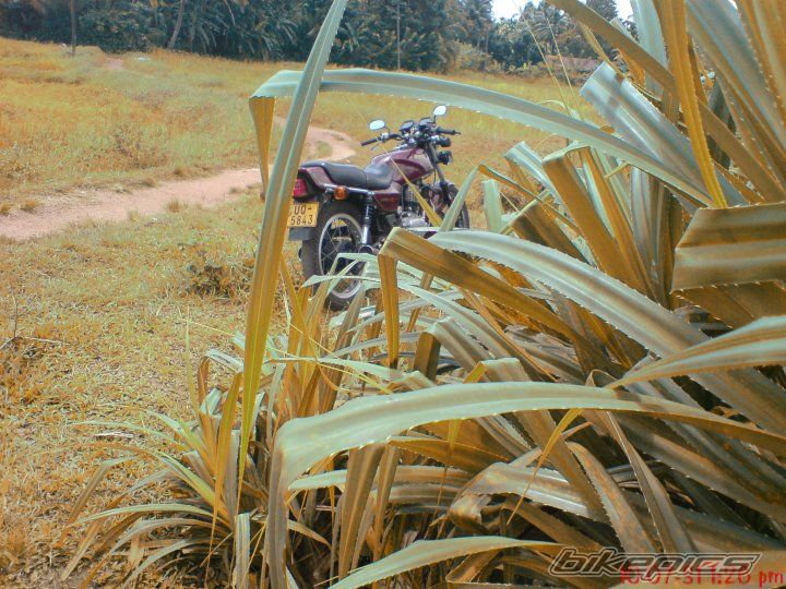 Photo 2029965