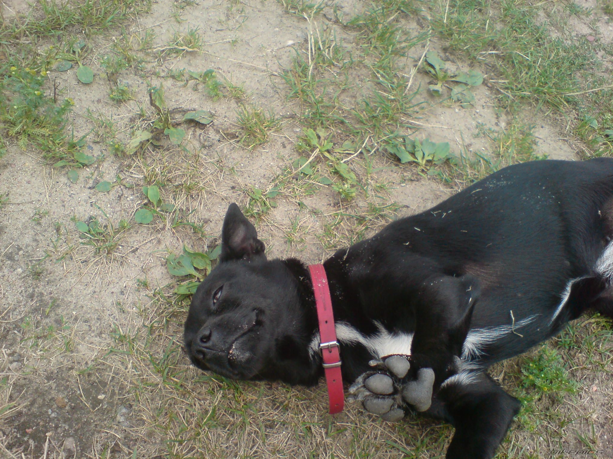 Photo 2029976