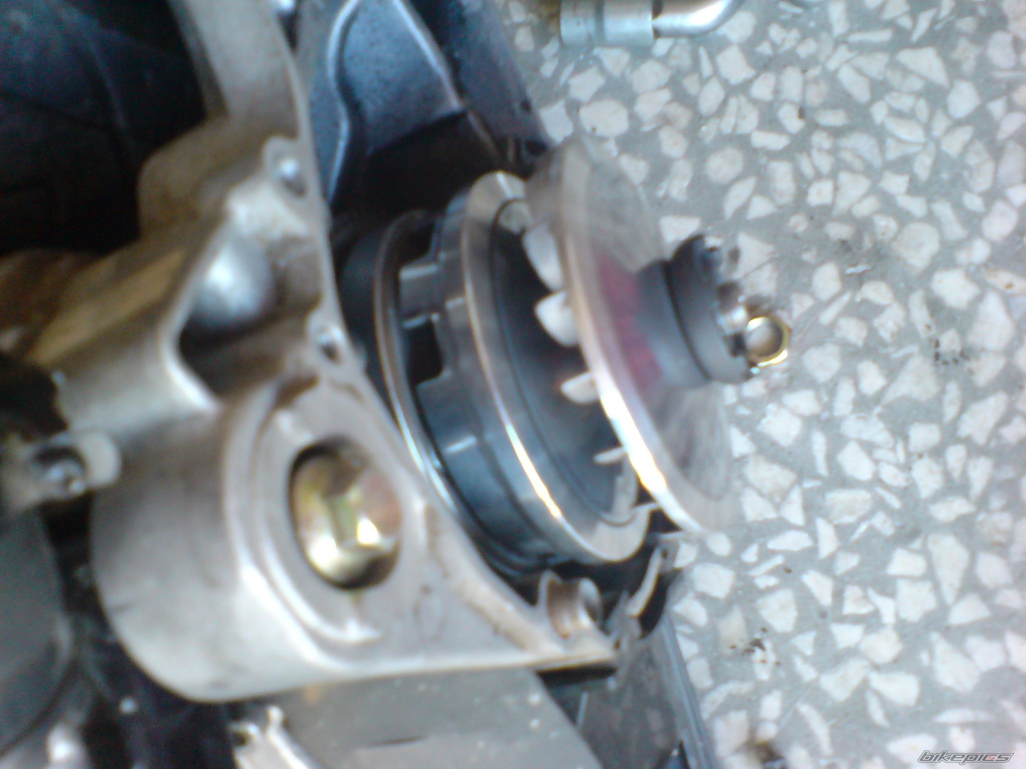 Photo 2030001