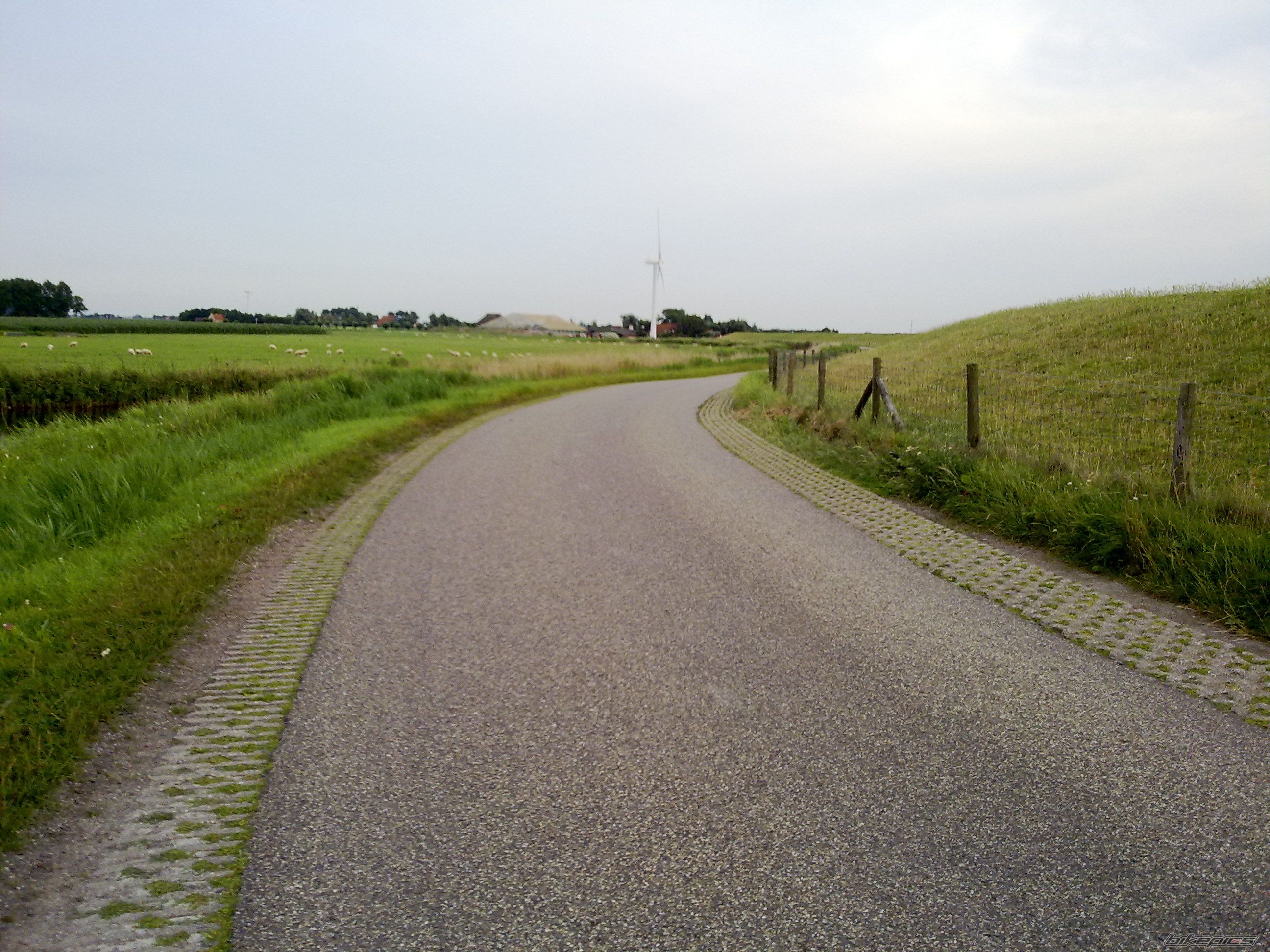 Photo 2030020