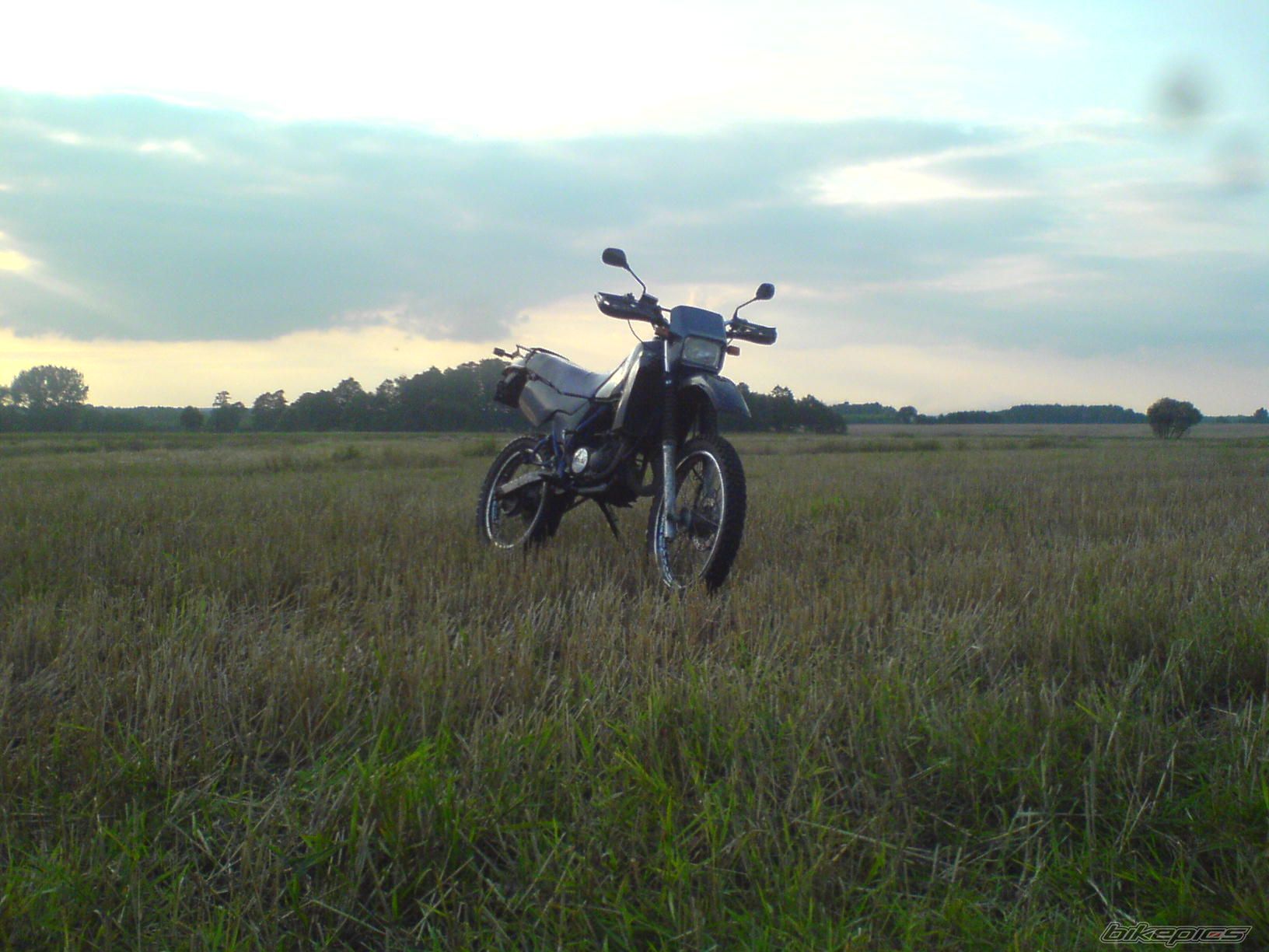Photo 2030164