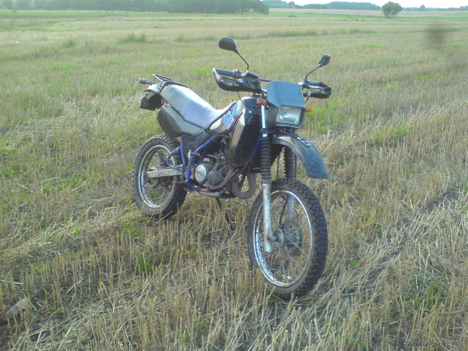 Photo 2030165