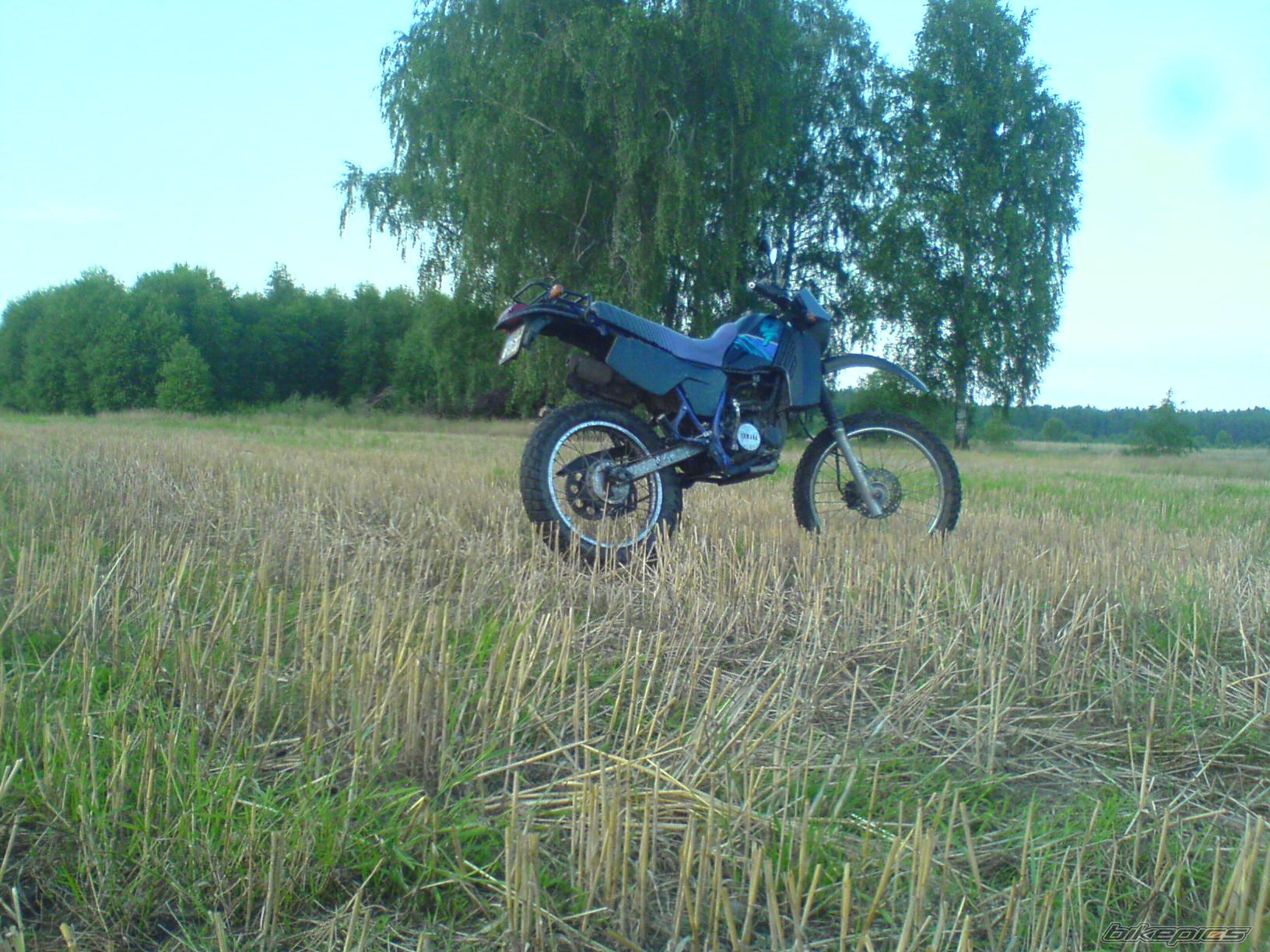 Photo 2030170