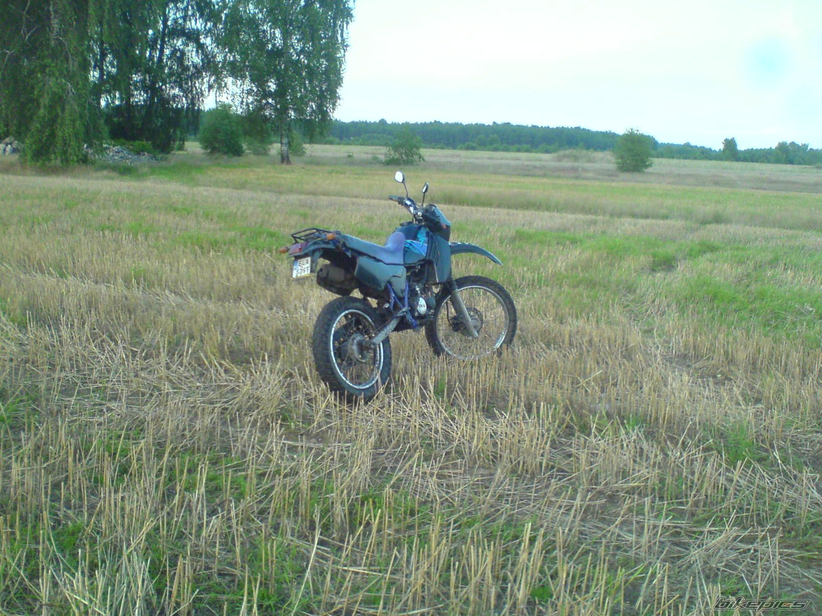 Photo 2030171
