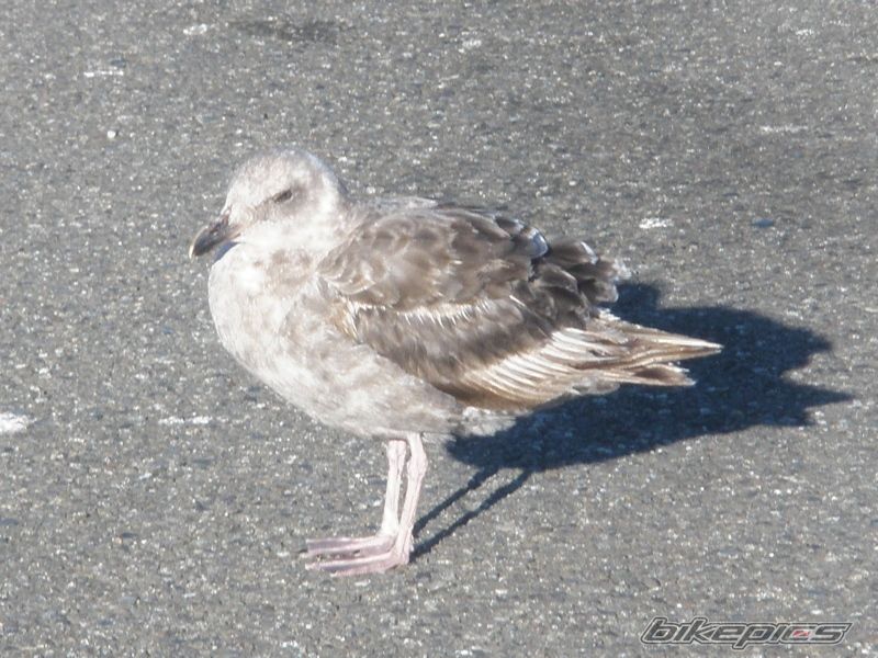 Photo 2030371